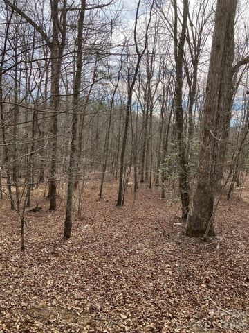 Lot 7A Springbrook Court, Columbus, NC 28722