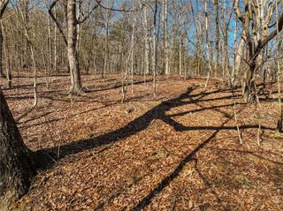 Lot 8 Mount Mincie Road, Murrayville, GA 30564