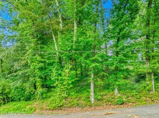 278 Harvest St, Newport, TN 37821