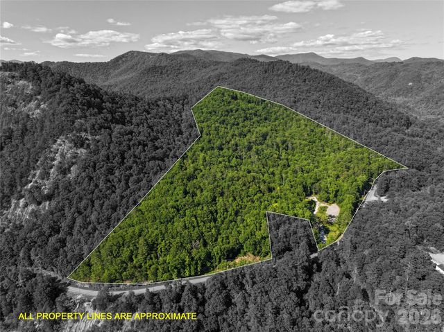 4017 Canada Road, Tuckasegee, NC 28783