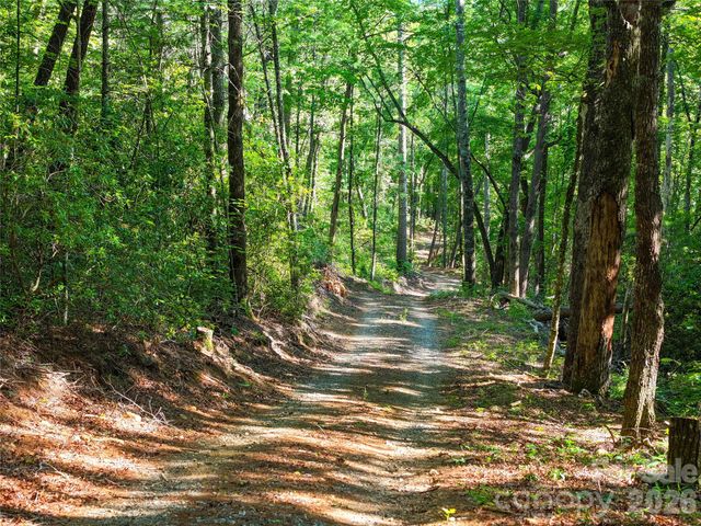 4017 Canada Road, Tuckasegee, NC 28783
