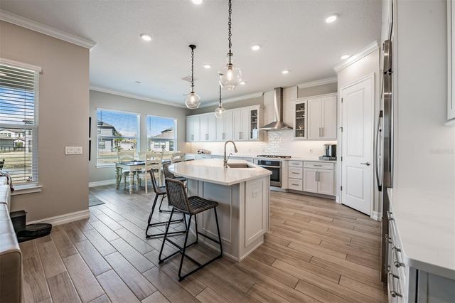 19920 CYPRESS BRIDGE DRIVE, Odessa, FL 33556