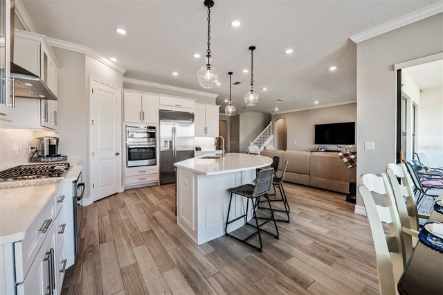 19920 CYPRESS BRIDGE DRIVE, Odessa, FL 33556