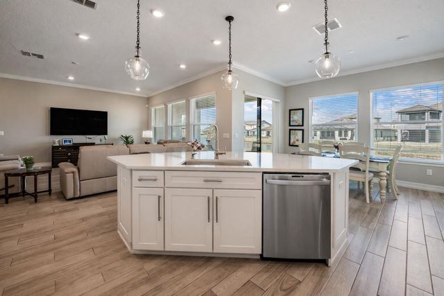 19920 CYPRESS BRIDGE DRIVE, Odessa, FL 33556