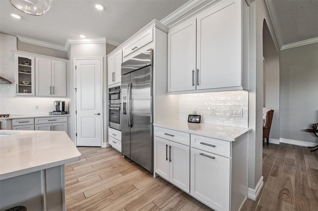 19920 CYPRESS BRIDGE DRIVE, Odessa, FL 33556