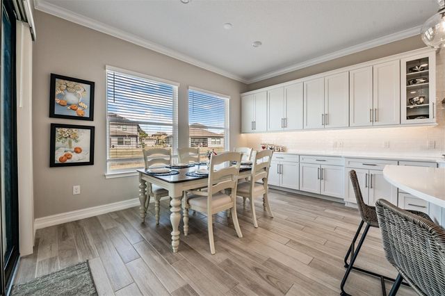 19920 CYPRESS BRIDGE DRIVE, Odessa, FL 33556