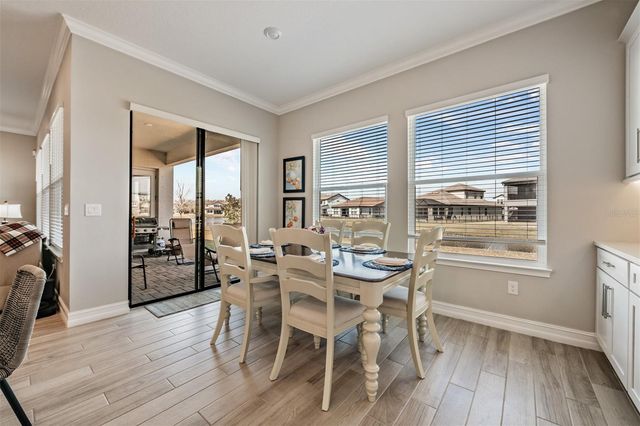 19920 CYPRESS BRIDGE DRIVE, Odessa, FL 33556