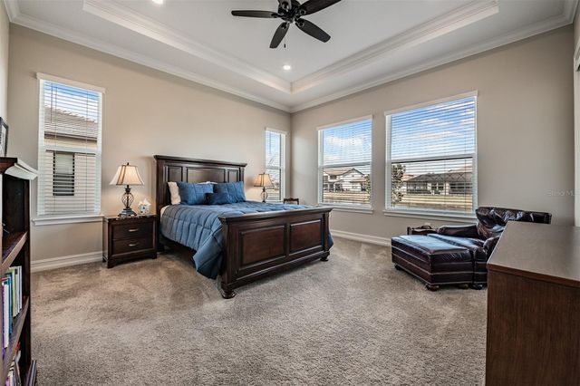 19920 CYPRESS BRIDGE DRIVE, Odessa, FL 33556