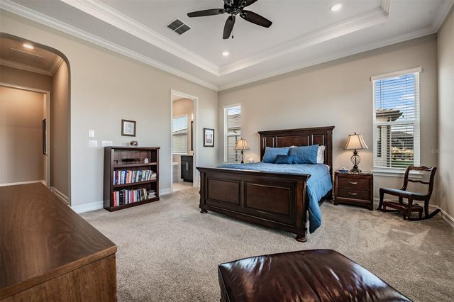 19920 CYPRESS BRIDGE DRIVE, Odessa, FL 33556