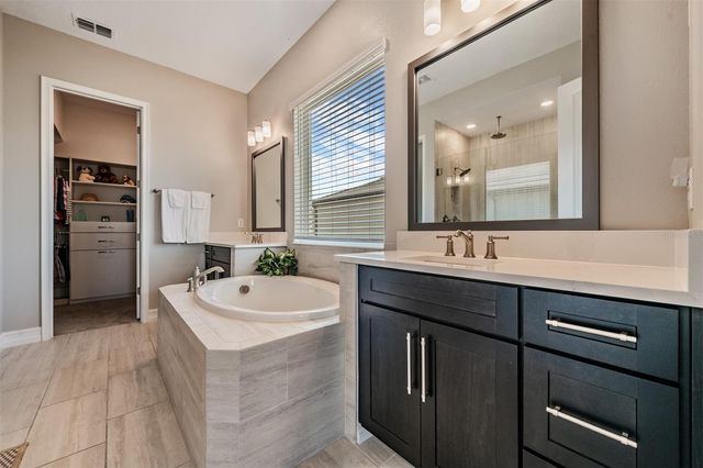 19920 CYPRESS BRIDGE DRIVE, Odessa, FL 33556