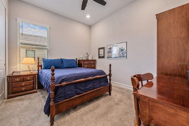 19920 CYPRESS BRIDGE DRIVE, Odessa, FL 33556