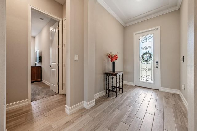 19920 CYPRESS BRIDGE DRIVE, Odessa, FL 33556