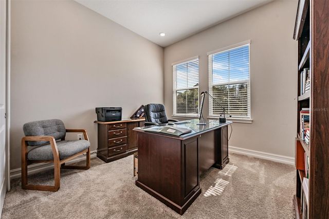 19920 CYPRESS BRIDGE DRIVE, Odessa, FL 33556