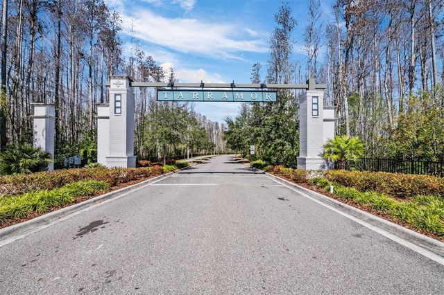 19920 CYPRESS BRIDGE DRIVE, Odessa, FL 33556