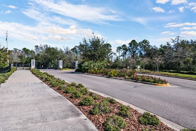 19920 CYPRESS BRIDGE DRIVE, Odessa, FL 33556