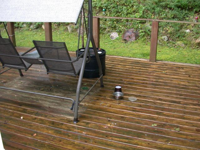 54768 Cranberry Street, Marcellus Twp, MI 49067