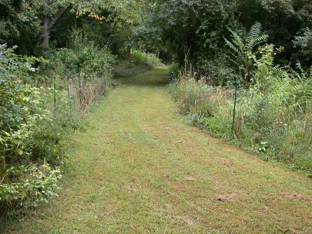 54768 Cranberry Street, Marcellus Twp, MI 49067