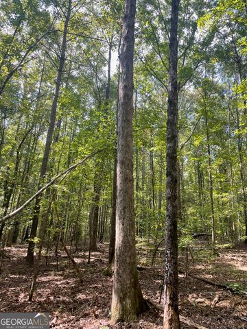 0 Elder Road, Griffin, GA 30223