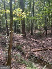 0 Elder Road, Griffin, GA 30223