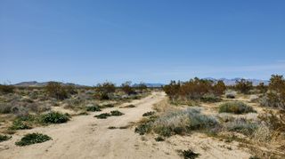 Vicinity 25th St W S/O Gibbs, Mojave, CA 93501