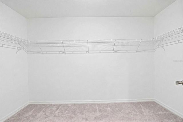 3607 NATURAL TRACE STREET, Plant City, FL 33565
