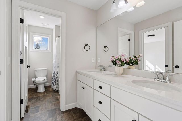 12933 Burr Oak Lane N, Champlin, MN 55316