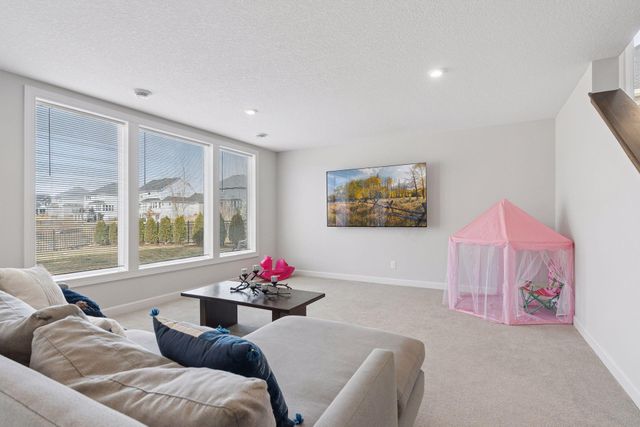 12933 Burr Oak Lane N, Champlin, MN 55316