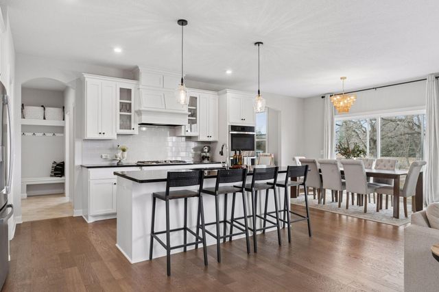 12933 Burr Oak Lane N, Champlin, MN 55316