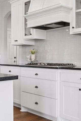 12933 Burr Oak Lane N, Champlin, MN 55316