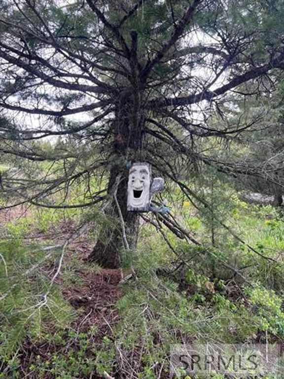 Image 40 of property listing at 53 Squaw Creek Road, Lava Hot Springs, ID 83276