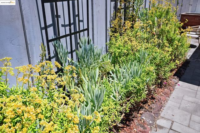 3316 Coolidge Ave, Oakland, CA 94602