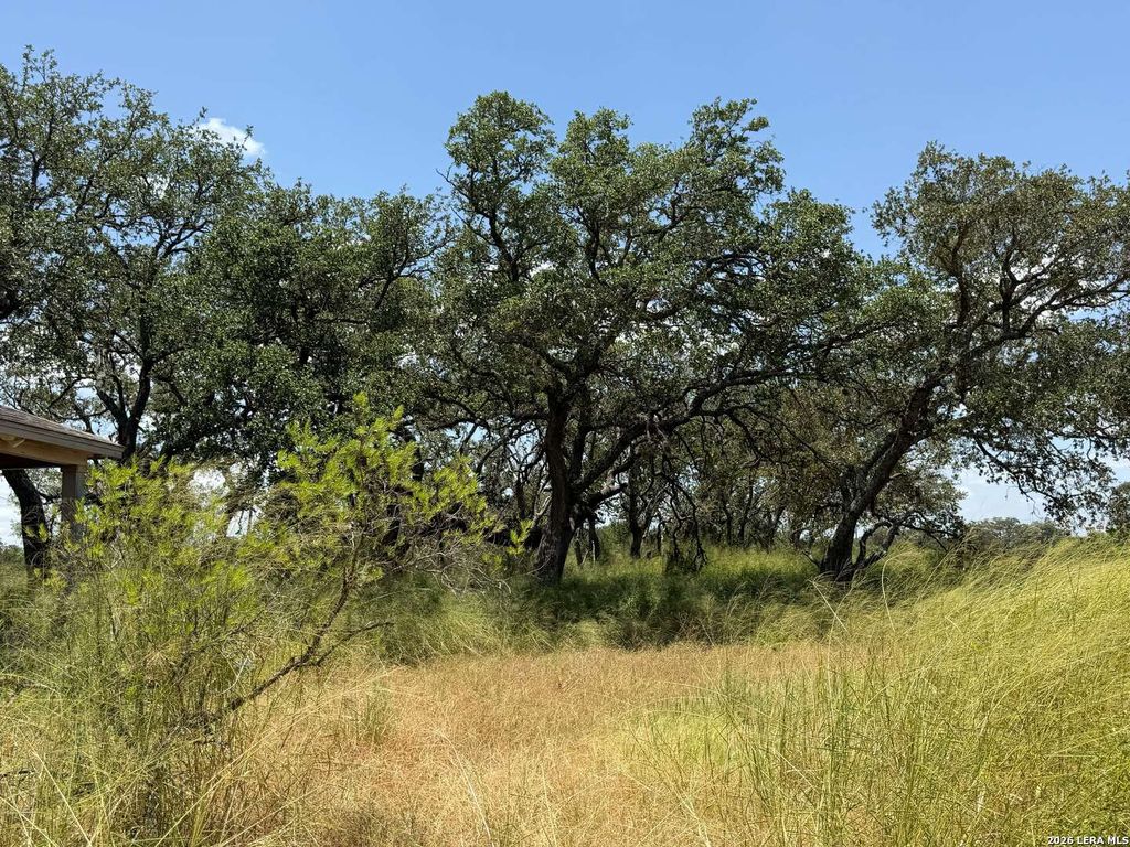 380 County Road 6723, Natalia, TX 78059