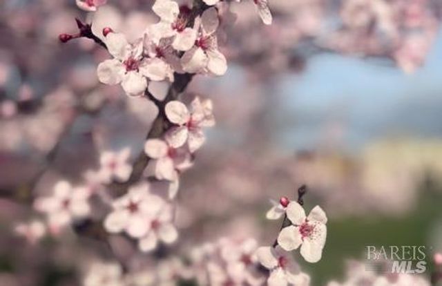 6083 Oak Leaf Pl, Rohnert Park, CA 94928