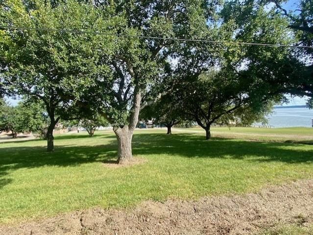 TBD Clearview Street, Point Blank, TX 77364