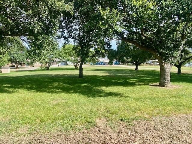 TBD Clearview Street, Point Blank, TX 77364
