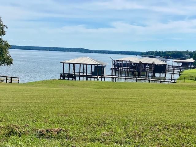 TBD Clearview Street, Point Blank, TX 77364