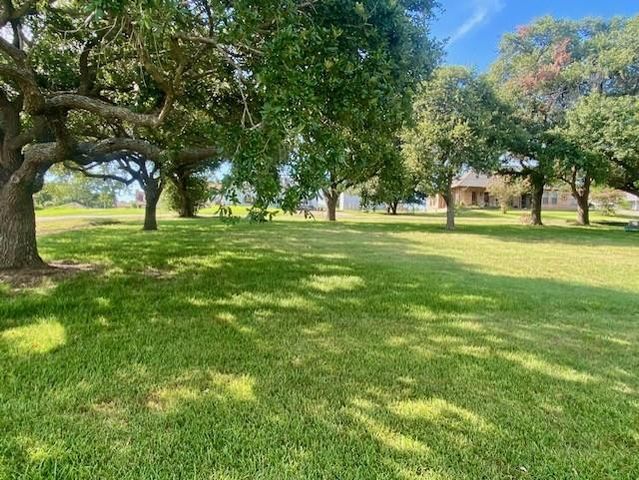 TBD Clearview Street, Point Blank, TX 77364