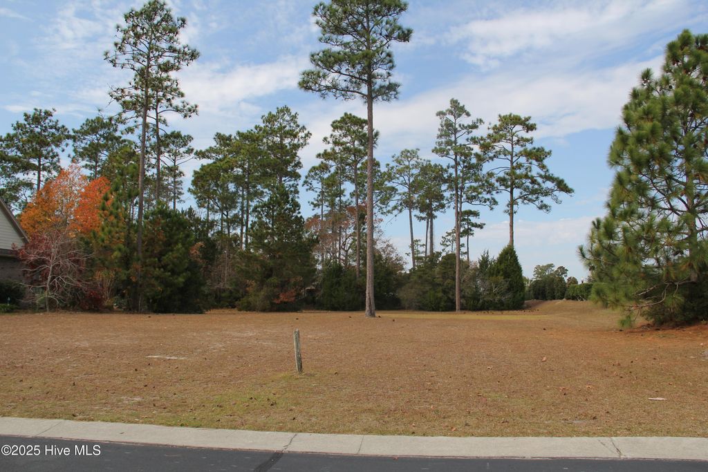 1274 St Simons Drive SE, Bolivia, NC 28422