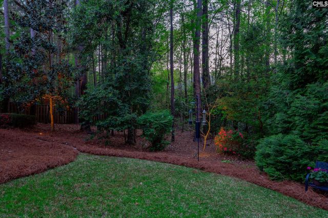 125 Scarlet Oak Way, Lexington, SC 29072