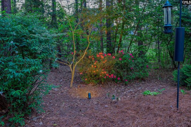 125 Scarlet Oak Way, Lexington, SC 29072