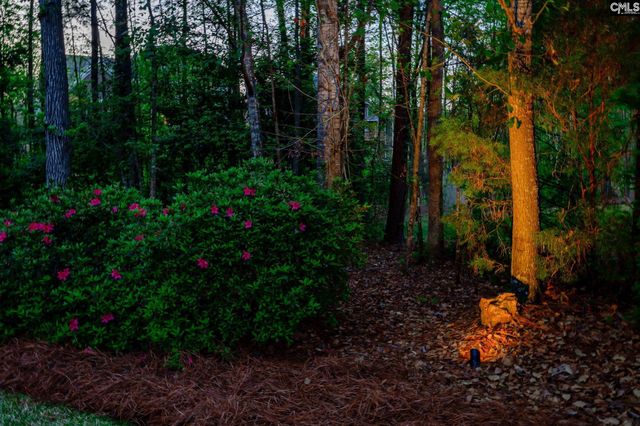 125 Scarlet Oak Way, Lexington, SC 29072
