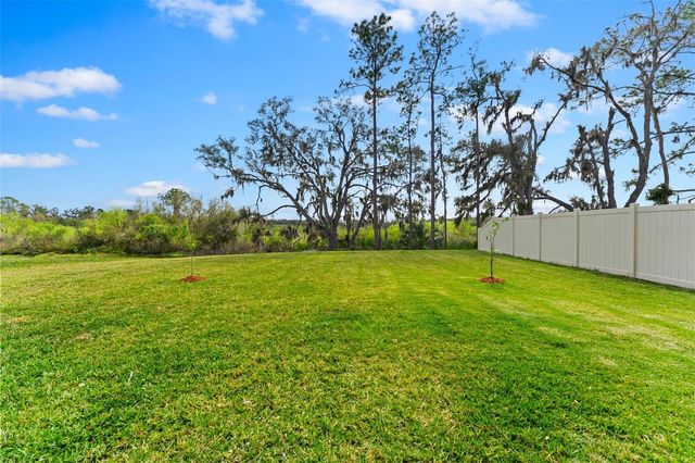 1454 TAHITIAN SUNRISE DRIVE, Plant City, FL 33565