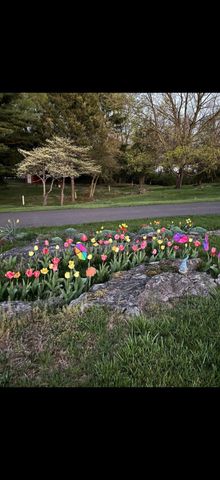 17035 VIRGINIA AVE, Williamsport, MD 21795
