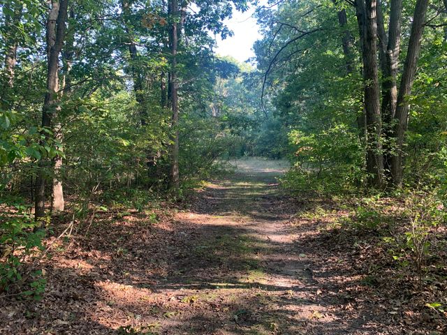 711 Division Street, Eastlake, MI 49626