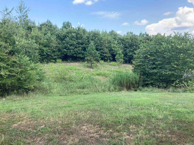 1228 Polk Road 23, Cove, AR 71937