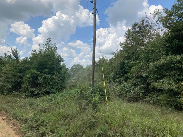 1228 Polk Road 23, Cove, AR 71937