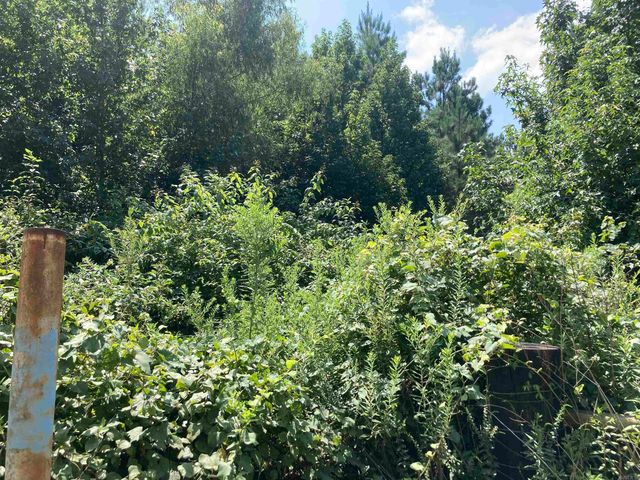 1228 Polk Road 23, Cove, AR 71937