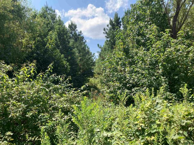 1228 Polk Road 23, Cove, AR 71937