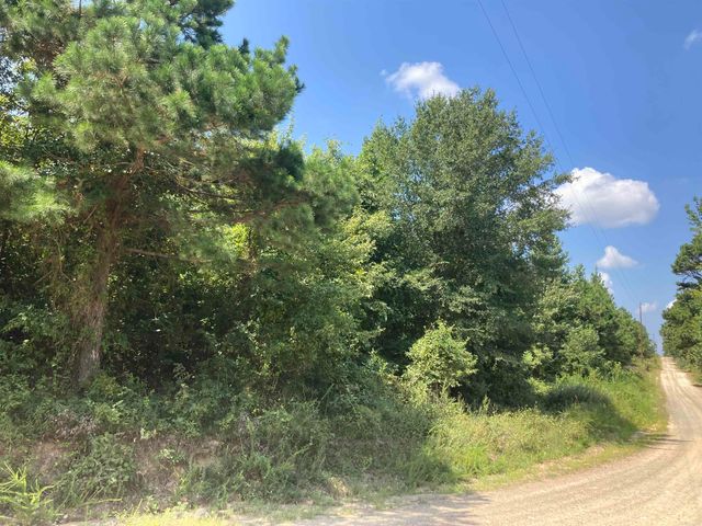 1228 Polk Road 23, Cove, AR 71937