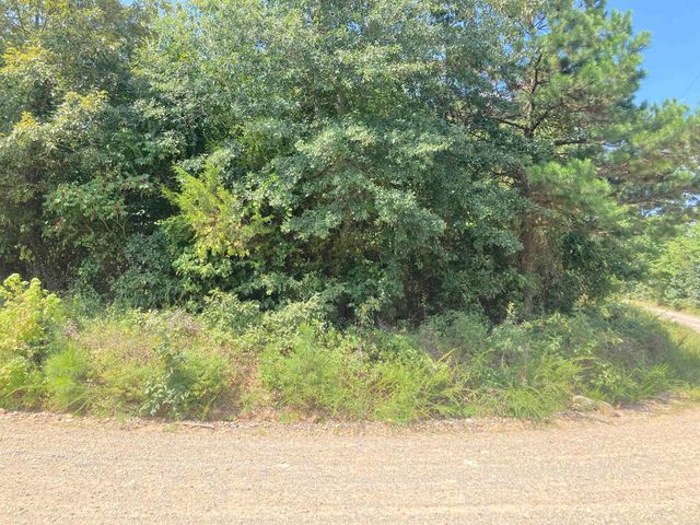 1228 Polk Road 23, Cove, AR 71937